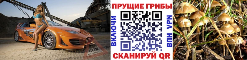 Псилоцибиновые грибы ЛСД  кракен вход  darknet официальный сайт  Каменск-Шахтинский 